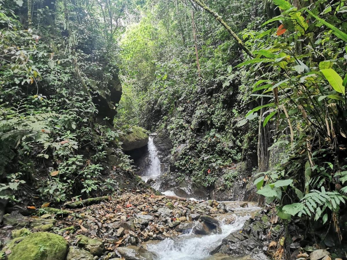 Finca Tradicional El Otono Пихао Экстерьер фото