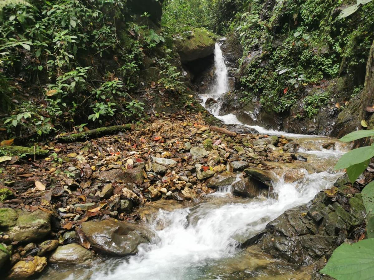 Finca Tradicional El Otono Пихао Экстерьер фото